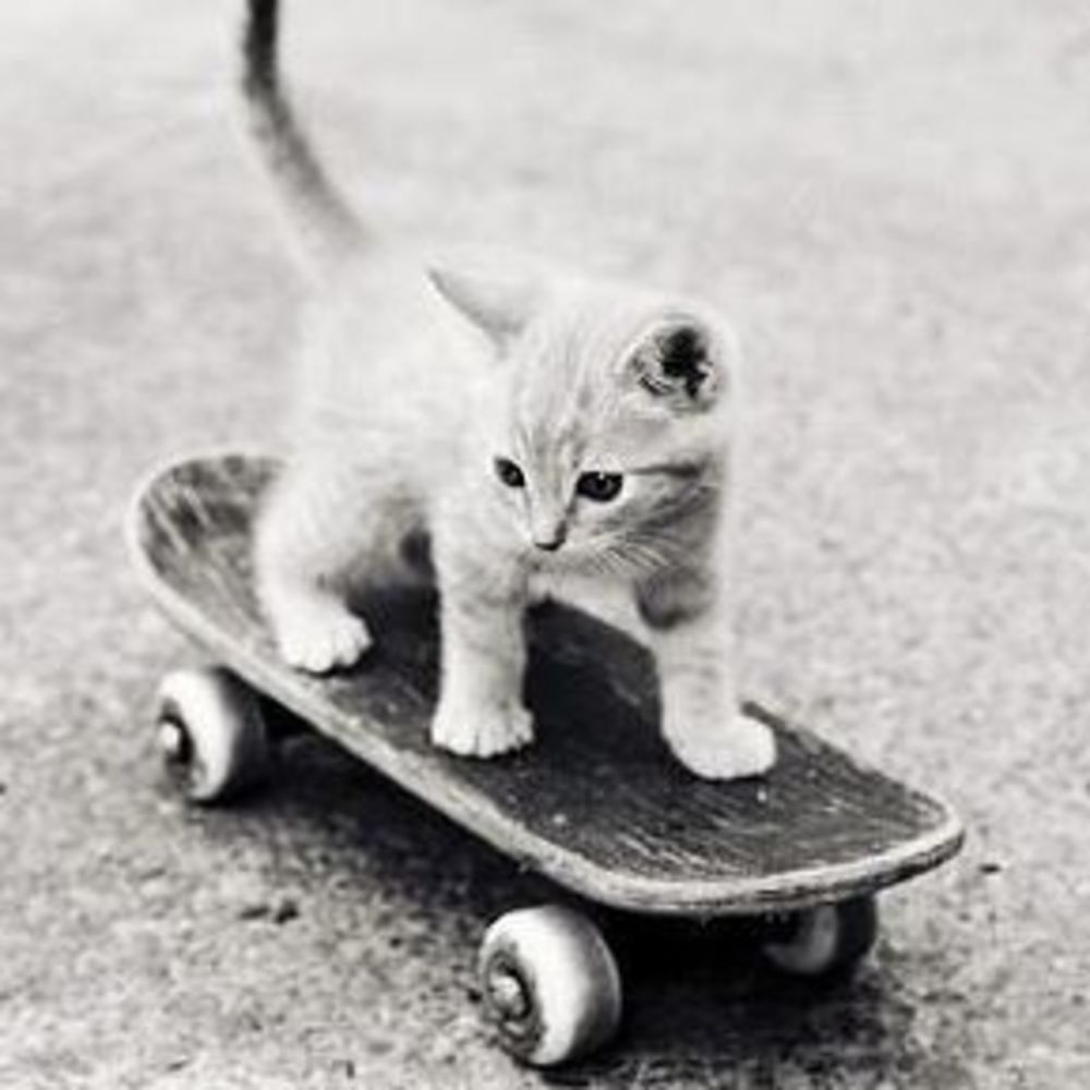 Meet your Posher, Brittyn